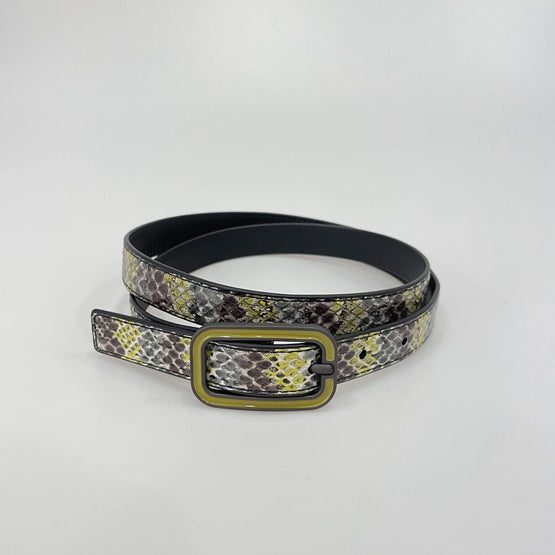 PRONG - D.SER.MULTI-NE/ANC.G