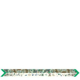 740 Scarves, stoles .../ 51008SOI531 /Bandeau Lawn/