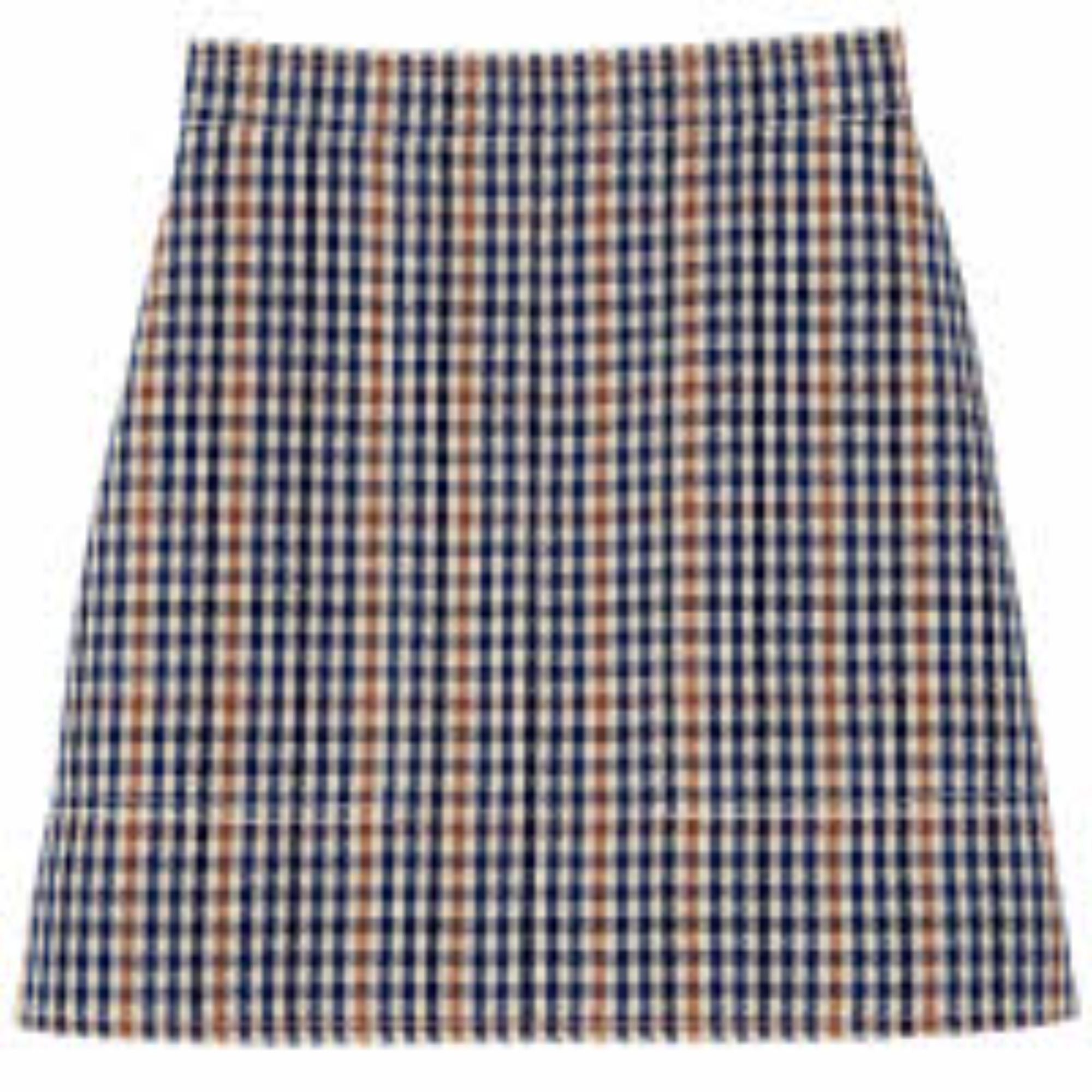 770 RTW/ 60983PIAB85 /Skirt Navy/Cognac/ 36