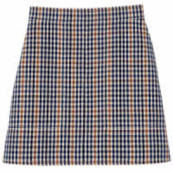 770 RTW/ 60983PIAB85 /Skirt Navy/Cognac/ 36