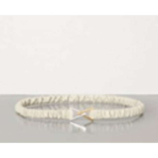 CLASP - PLASTER-GOLD-SILVER