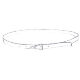 TRIANGLE - PARAKEET-SILVER