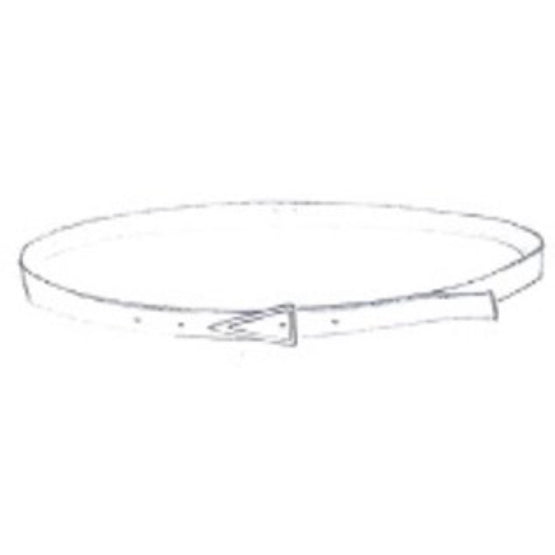 TRIANGLE - PARAKEET-SILVER