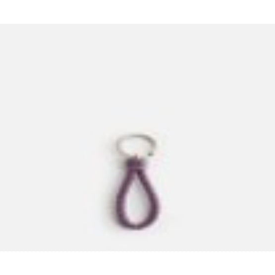 COAXIAL KEYRING - EGG PLANT-SILVER