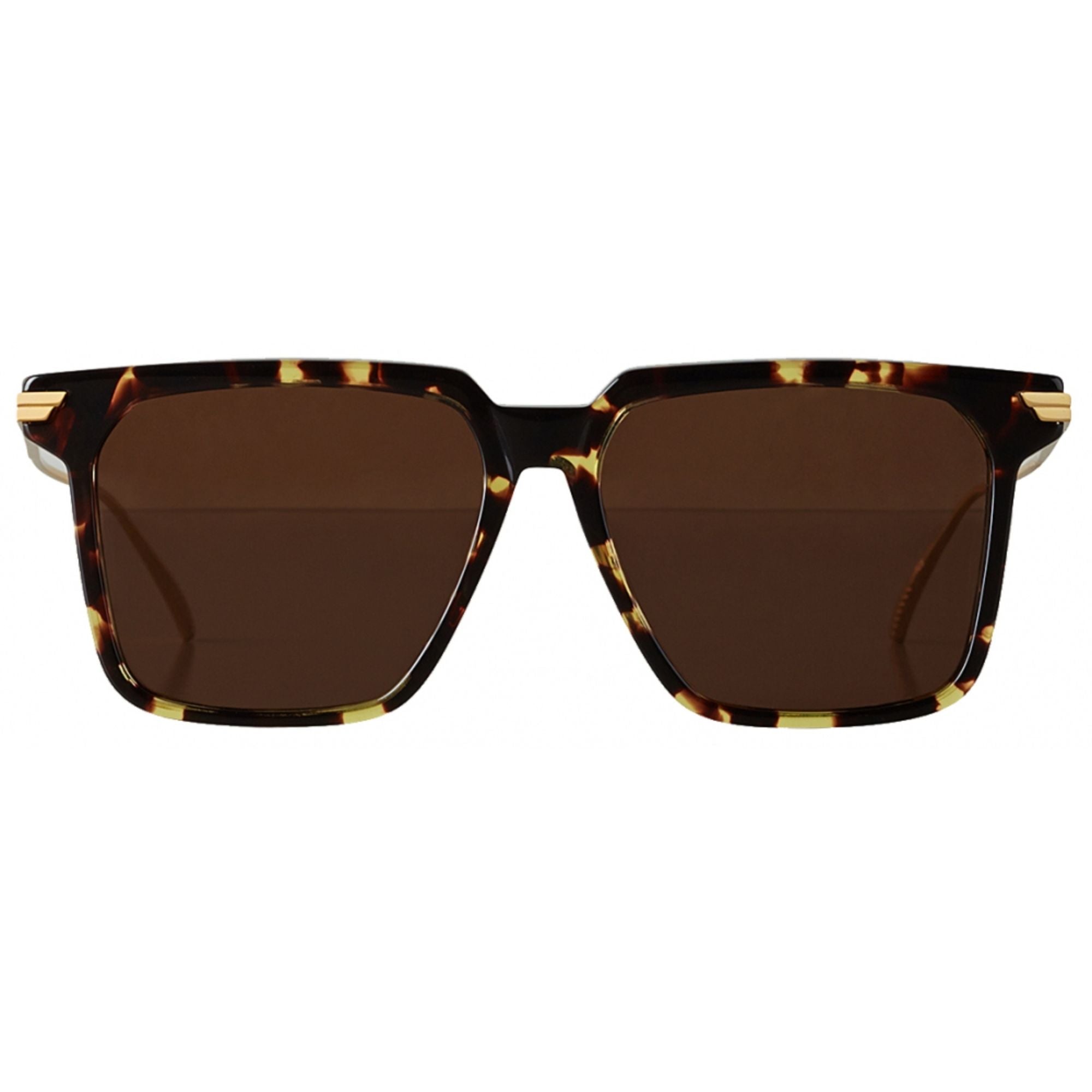 INTERNATIONAL - HAVANA-GOLD-BROWN 2