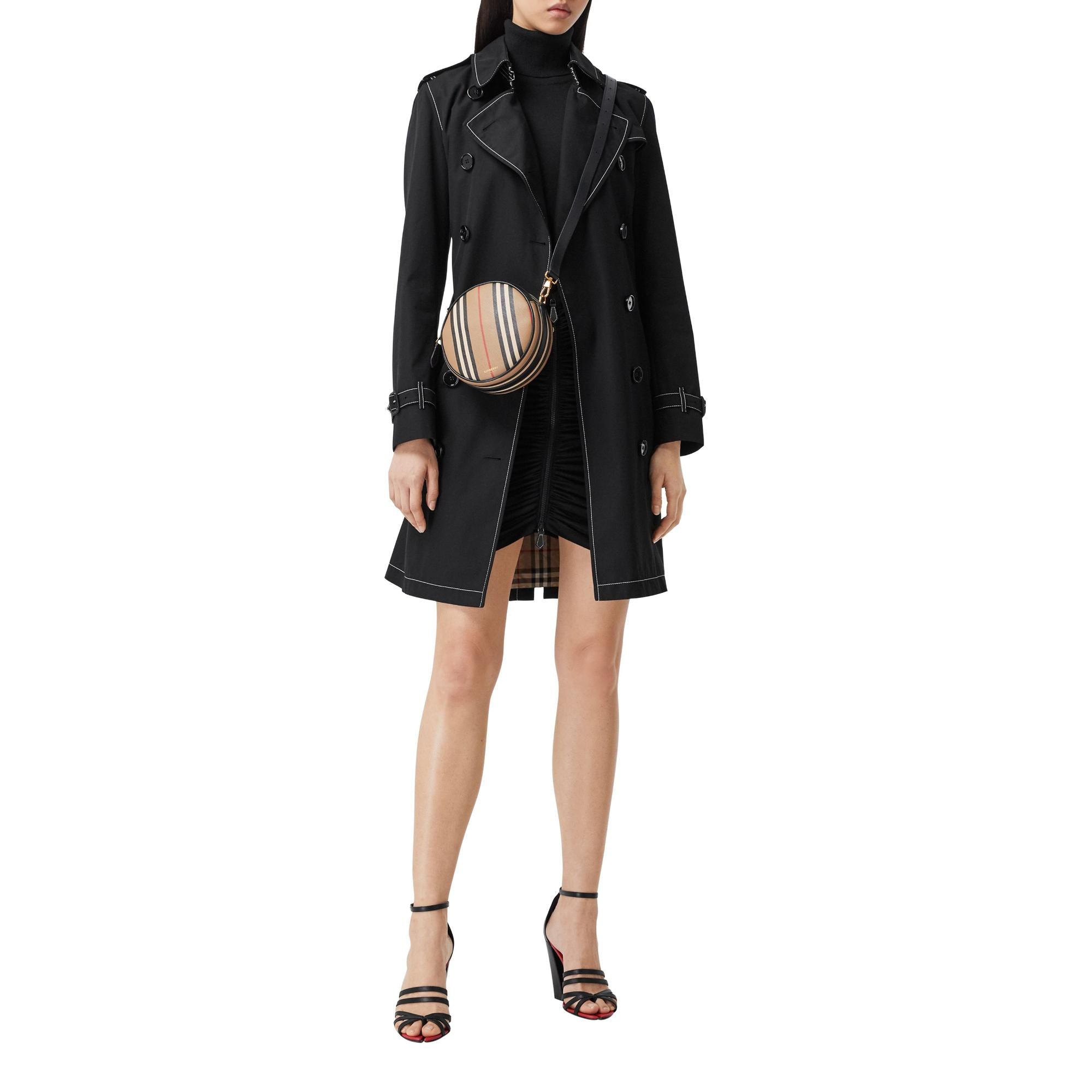 아이콘 스트라이프 루이스 백