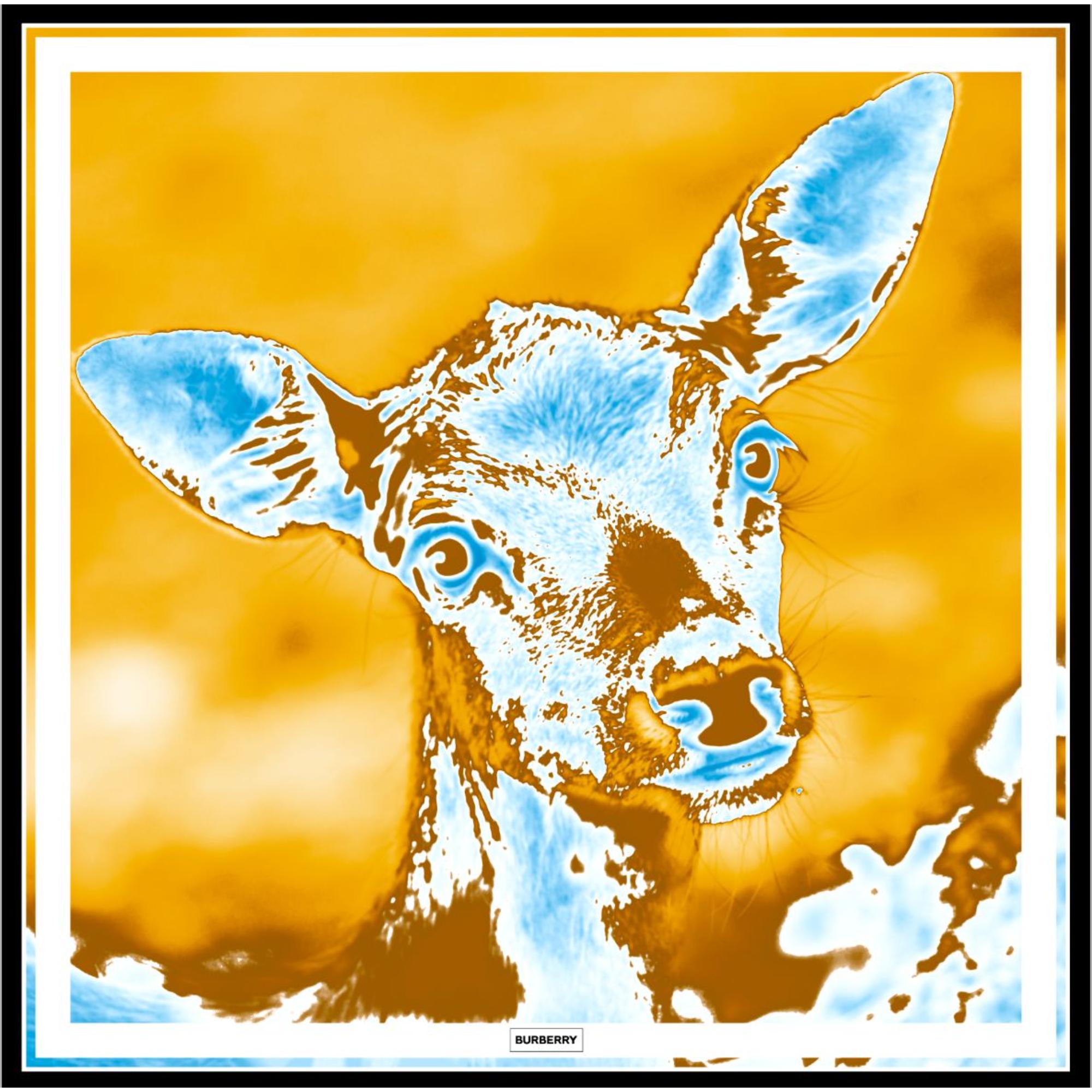 디어 그래픽 실크 스퀘어 스카프