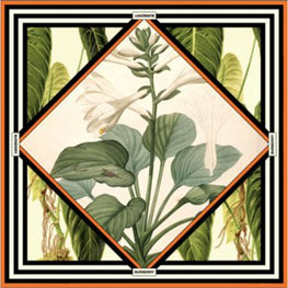 보타니컬 스케치 프린트 울 실크 스퀘어 스카프