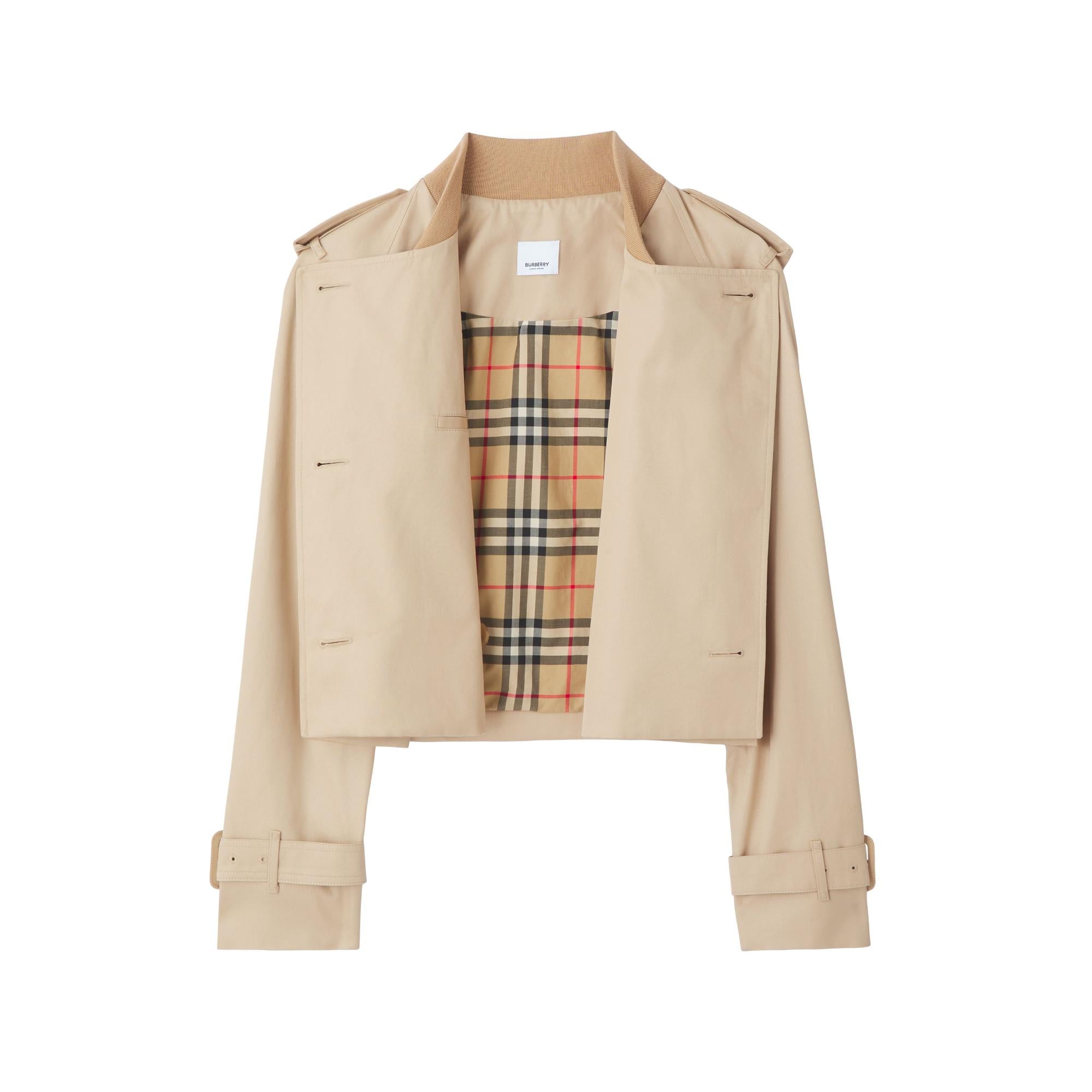 코튼 개버딘 크롭 트렌치코트