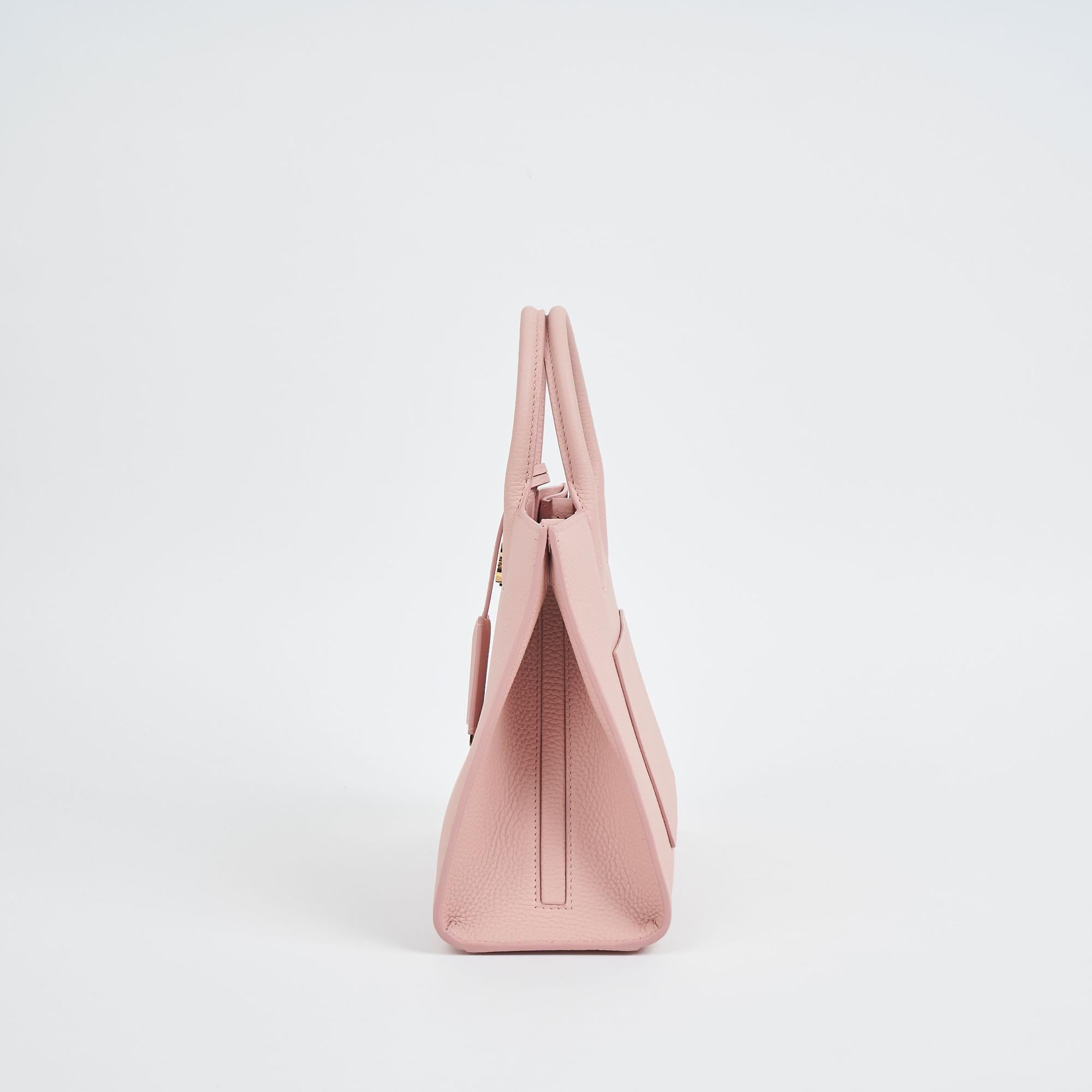 미니 프란시스 백