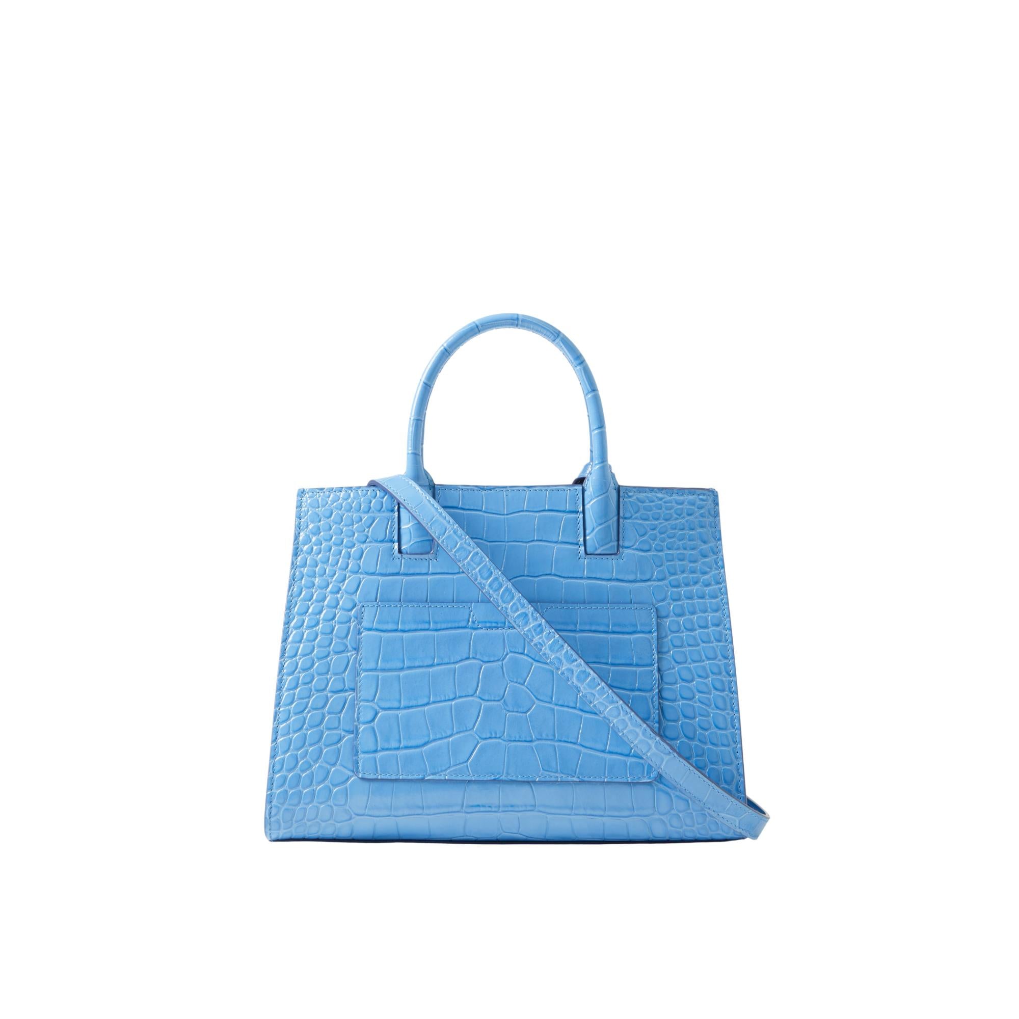 미니 프란시스 백