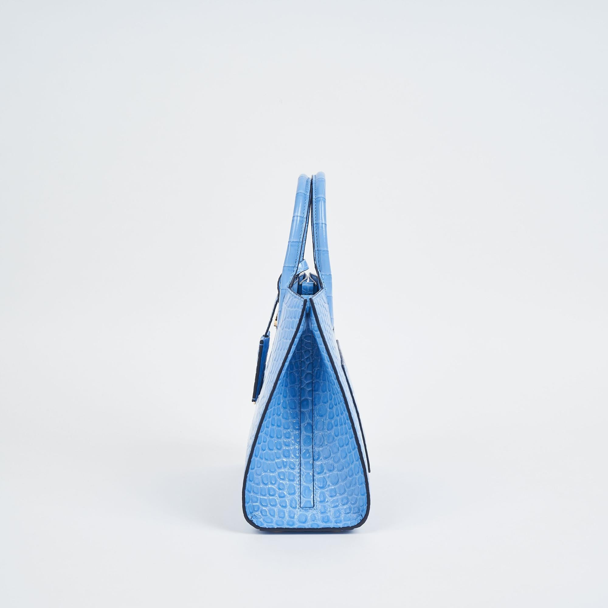 미니 프란시스 백