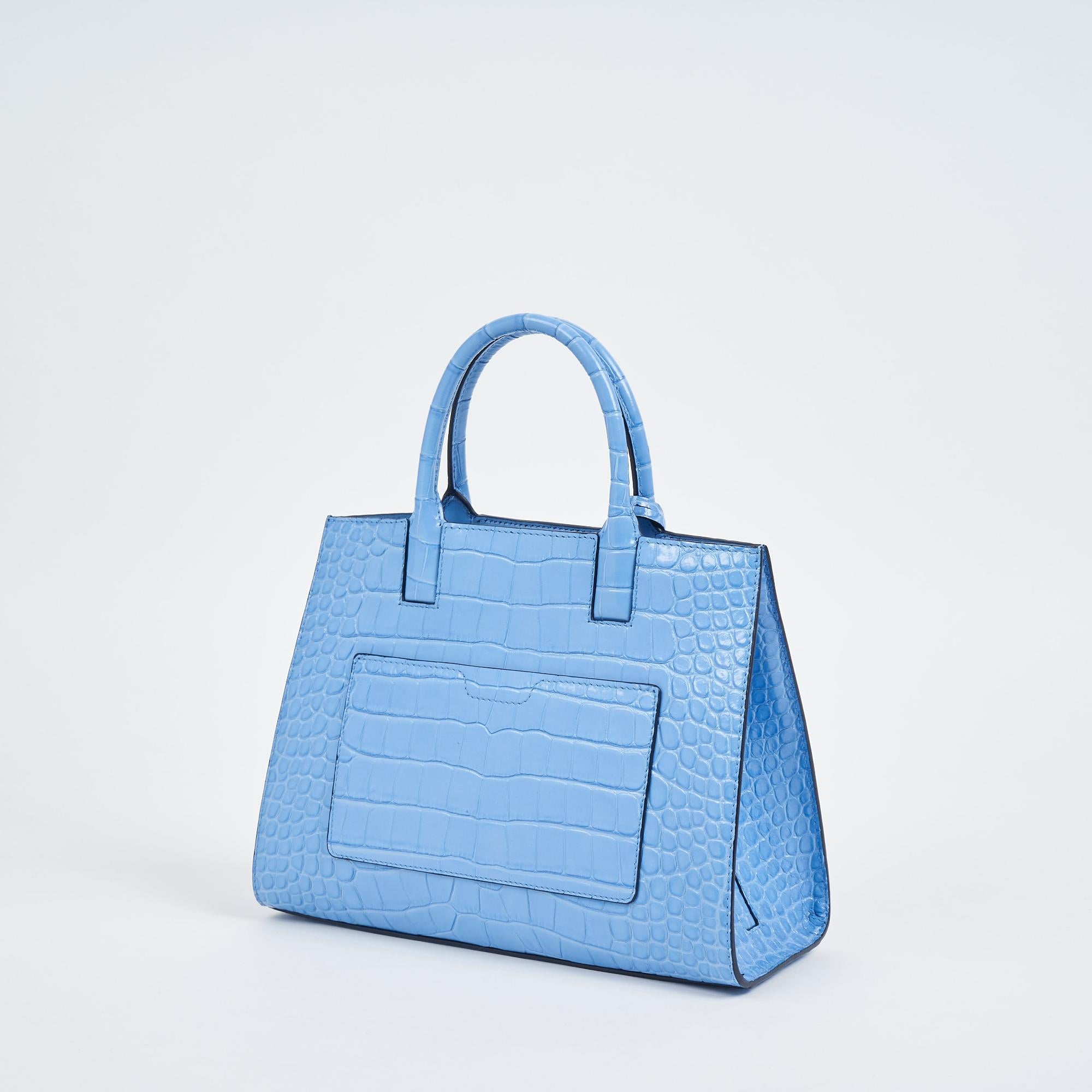 미니 프란시스 백